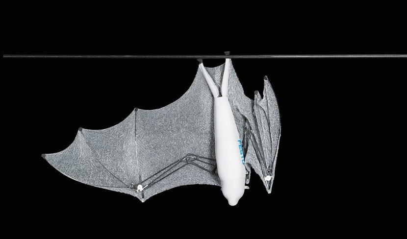 The artificial flying fox can control its wings separately and fold them together individually