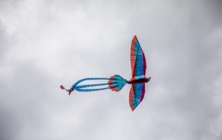 Phoenix ornithopter