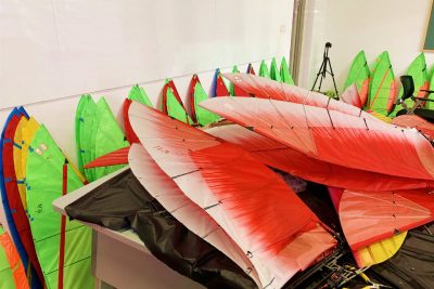 Phoenix ornithopter8