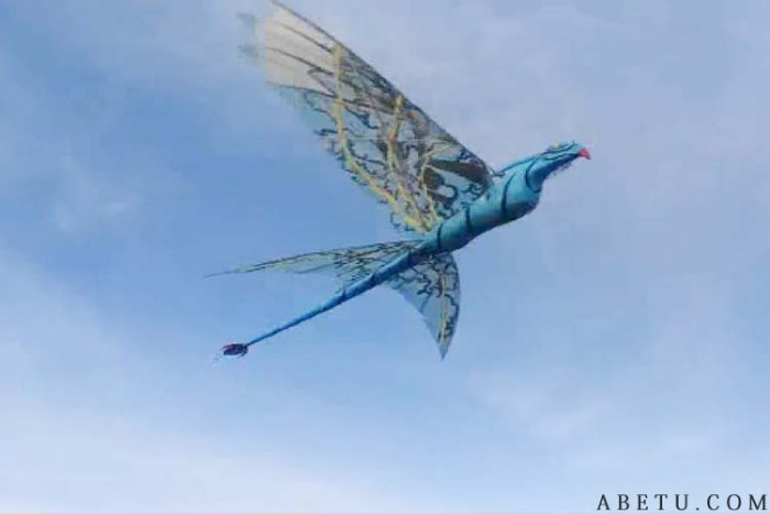 Great leonopteryx ornithopter1